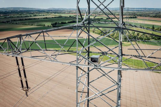 Beringung Sakerfalke 2025